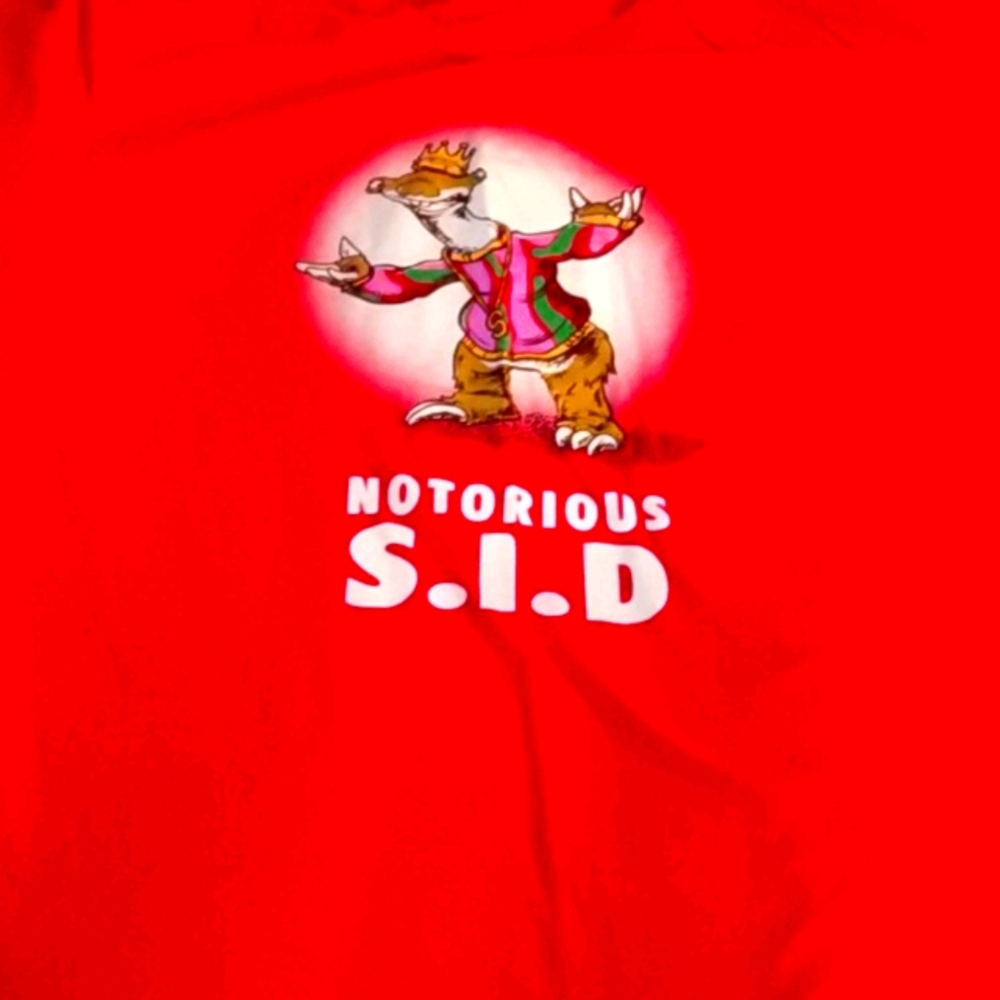 Large tshirt nwot